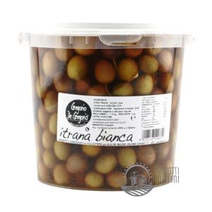 Oliva Itrana Bianca Secchiello