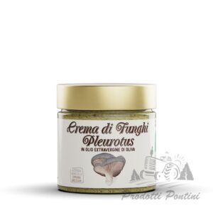 crema-funghi-pleurotus | Prodotti Pontini