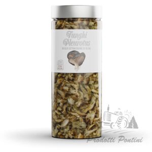 funghi-pleurotus-500-gr | Prodotti Pontini