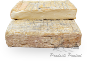Stracchino_stagionato | Prodotti Pontini
