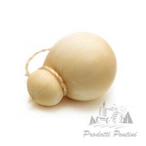 caciocavallo | Prodotti Pontini