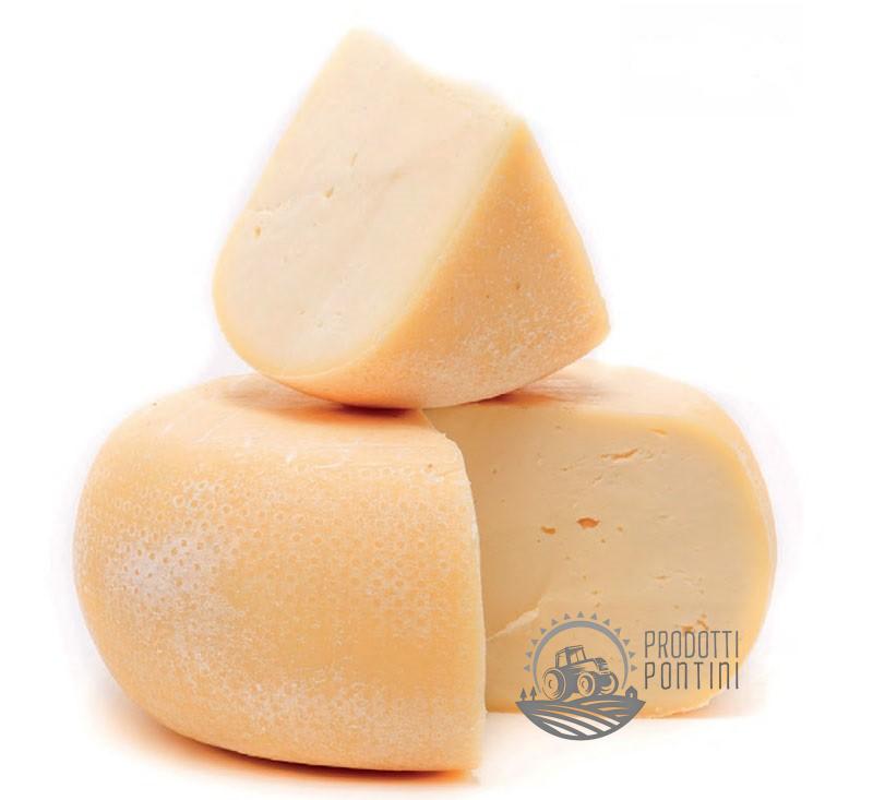 caciotta_stagionata_mucca