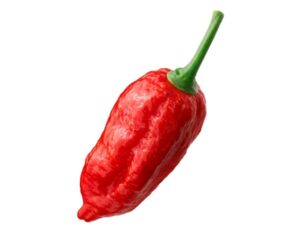 PEPERONCINO NAGA MORICH - Barattolo da 20gr